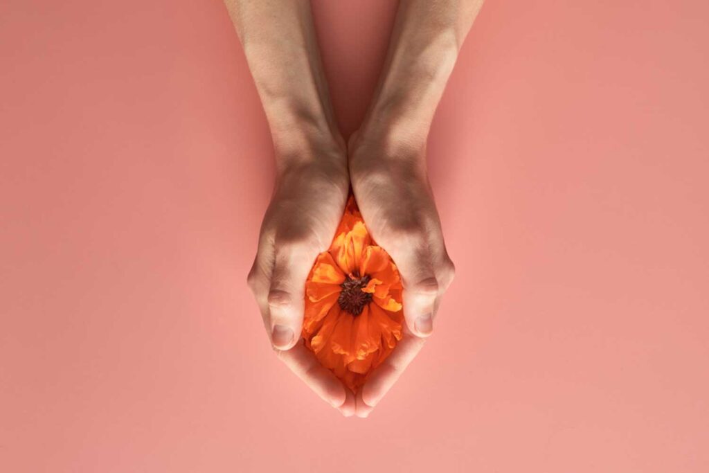 1A- HAE-Blume-in-Haenden_350291556-2